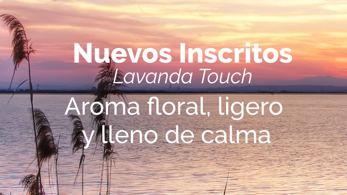 doTERRAMXof's tweet photo. Date el gusto de recibir esta práctica presentación de uno de los aceites más queridos de dōTERRA®, y descubre por qué no han dejado de aprovecharse los efectos de la mágica flor de Lavanda desde hace más de 5,000 años 
💜💜💜 https://t.co/5AtAzuyCMB