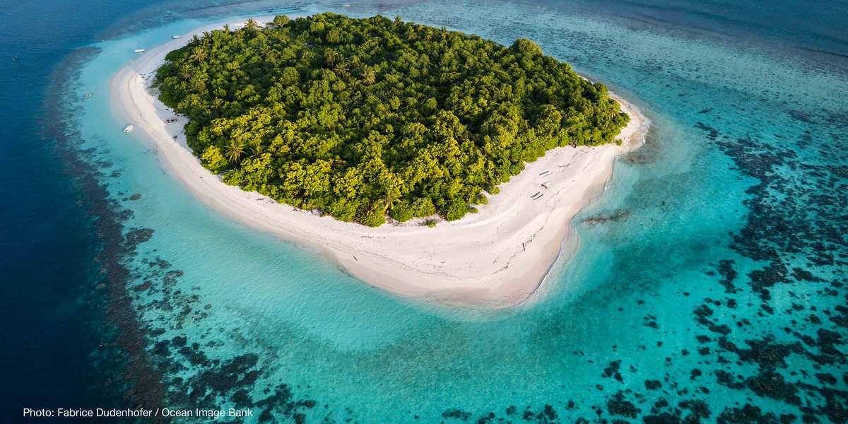 IUCNssc's tweet photo. RT @IUCN: Coral reefs support more than 500 million people worldwide, but they are among the most threatened ecosystems on Earth 
https://t.co/kRrUyc6aBo #climatechange https://t.co/9qEP9Q1y8Z