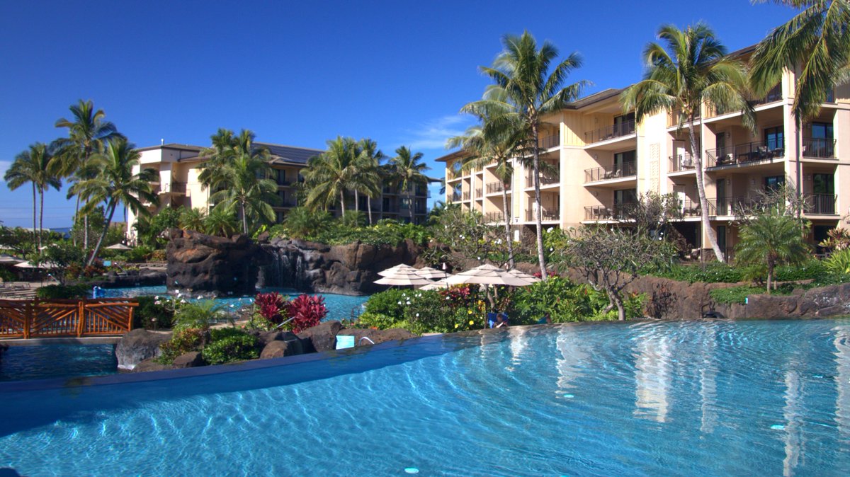 KoloaLanding's tweet image. Paradise awaits...

Photo Credit: Life at the Landing by Dave Wood.

#kauai #bestpool #bestvacation