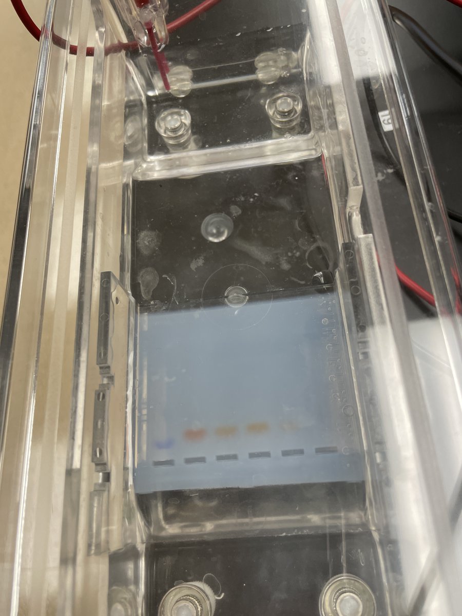 Lab day! Thank you <a href="/FriscoEF/">Frisco Education Foundation (FEF)</a> for this grant! Some of our virtual students had the opportunity to participate too! 
#ourFISDstory #LibertyLearns