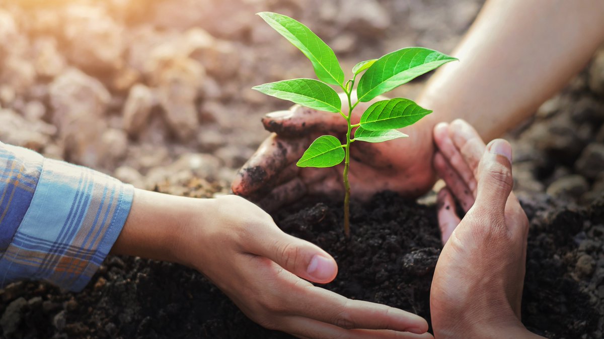 FPAC_APFC's tweet photo. Forestry in Canada is rooted in conservation. Our measures include set asides for wildlife habitat, buffers around streams and wetlands, and areas with conservation value such as rare plants and ecosystems to support healthy conservation ๐ฒ #NationalSoilConservationWeek https://t.co/1fxpiQ0NWr