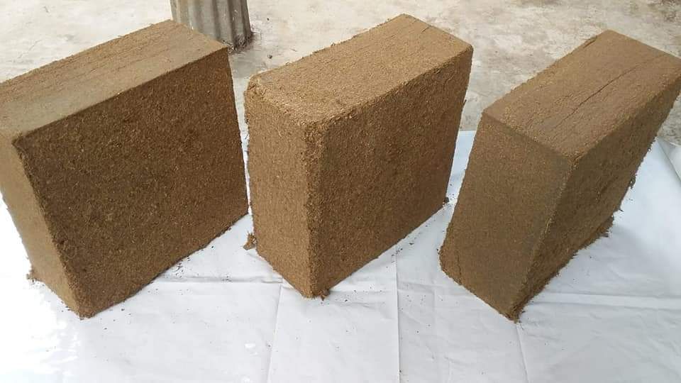 SMVEXPORTS's tweet photo. Low EC Coco Peat 5 Kg Block Wholesale Suppliers | Coir Pith Exporters in India.
#smvexports #cocopeat #coirpith #cococoir #5kgblocks #coirbricks #coconutpith #cococoirpeat #lowec #organic #agriculture #horticulture #peatmoss #pottingmix #wholesalers #suppliers #exporters #india https://t.co/OxgAaJsG1Z