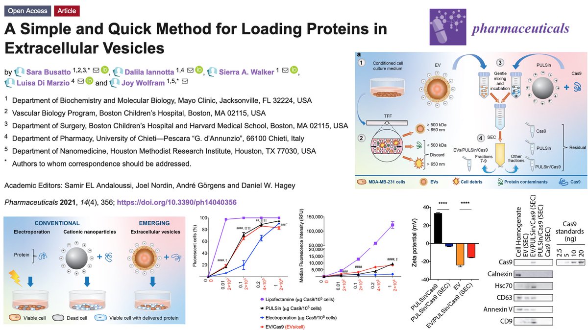 Joy Wolfram, PhD (@wolframjoy) on Twitter photo Check out out latest paper #ExtracellularVesicles for protein delivery #Cas9 <a href="/Sara_Busatto/">Sara Busatto, Ph.D.</a> <a href="/DalilaIannotta/">Dalila Iannotta, PhD</a> <a href="/395Walker/">Sierra Walker</a> mdpi.com/1424-8247/14/4… Check out out latest paper #ExtracellularVesicles for protein delivery #Cas9 <a href="/Sara_Busatto/">Sara Busatto, Ph.D.</a> <a href="/DalilaIannotta/">Dalila Iannotta, PhD</a> <a href="/395Walker/">Sierra Walker</a> mdpi.com/1424-8247/14/4…
