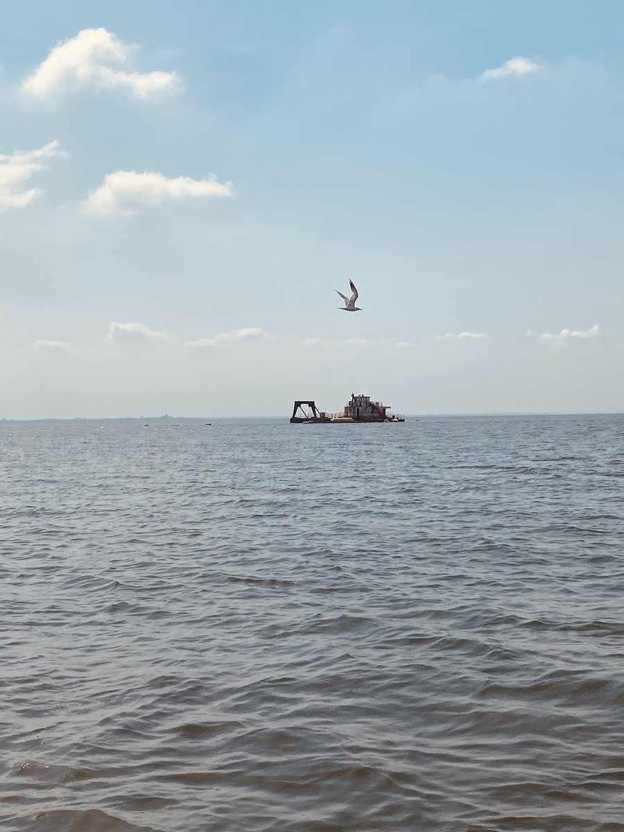 akthawicked's tweet image. To do list: water transportation ✅
Took the ferry ride for the first time today, and here are some pictures I took which one is your fav? 🤩😁
#NothingMissing #createwithjobberman #wearenigeriancreatives