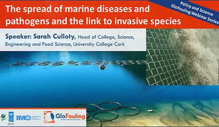 PONTOS MARINE tweet media