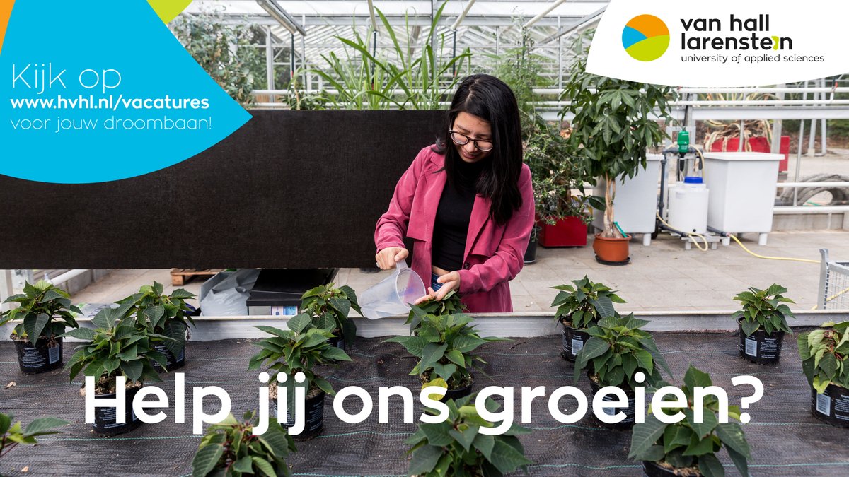 Kom jij bij #HVHL werken? Voor onze vestiging in #Leeuwarden zoeken we een #docent #onderzoeker #Tuinbouw en #Akkerbouw. Bekijk de #vacature en solliciteer via:
werkenbijhogescholen.nl/vacatures/doce…