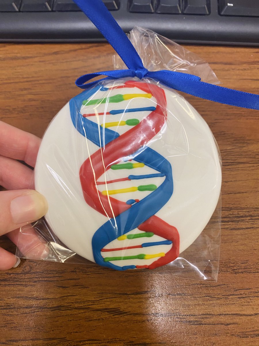 Lab week double helix cookie 🍪 🧬 #GCchat #labweek #LabWeek2021