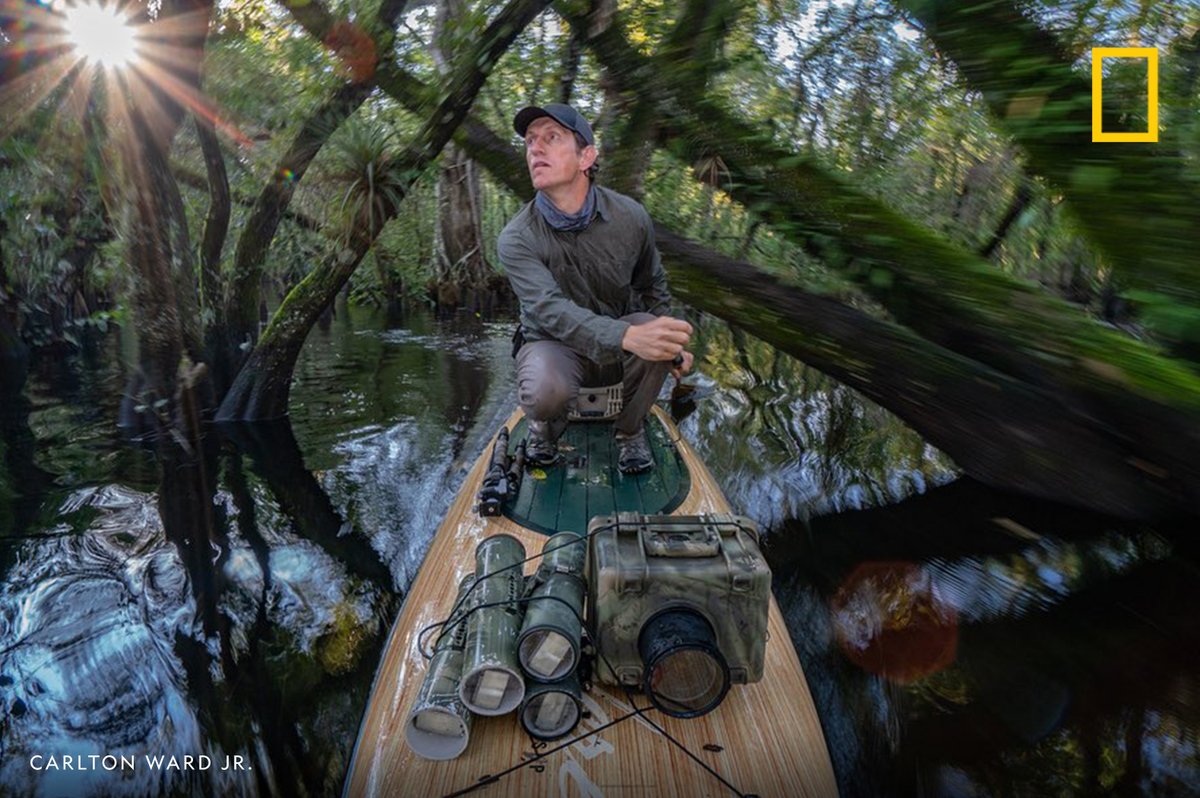 Path of the Panther, a project of National Geographic Explorer and photographer <a href="/CarltonWard/">Carlton Ward Jr</a>, is inspiring the protection of the Florida Wildlife Corridor, a statewide network of public and private lands.
