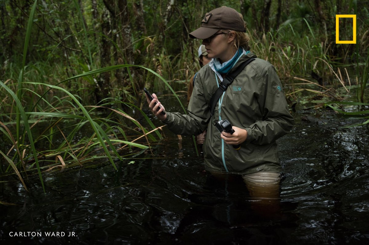 Conservationist and impact producer <a href="/ToriLinder/">Tori Linder</a> works at the intersection of storytelling and policy to amplify environmental and sustainable development efforts <a href="/PathofPanther/">Path of the Panther</a>