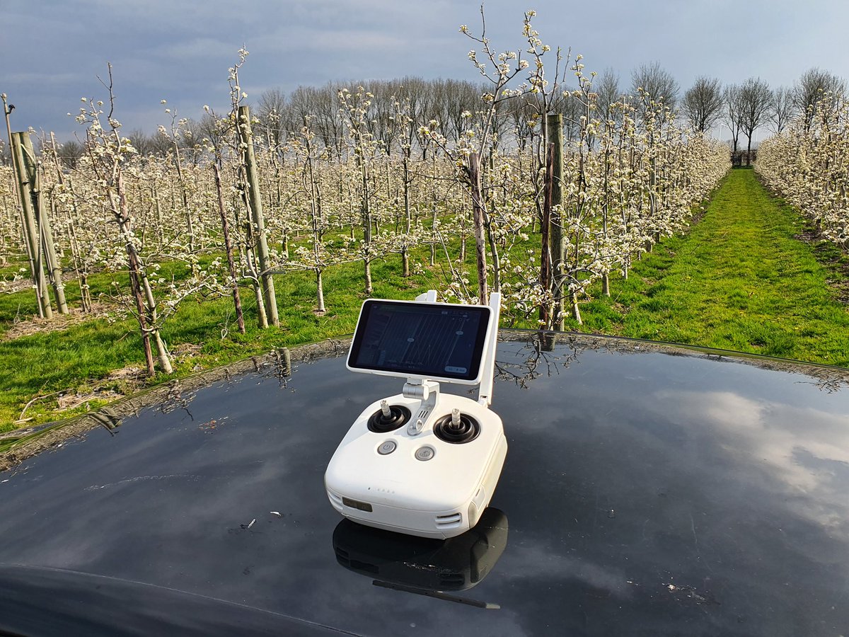Eerste bloesem vluchten weer gedaan. Met 2.5 week achterstand door het koude weer lijkt de ontwikkeling nu toch echt los te komen. 

#deTeeltinBeeld