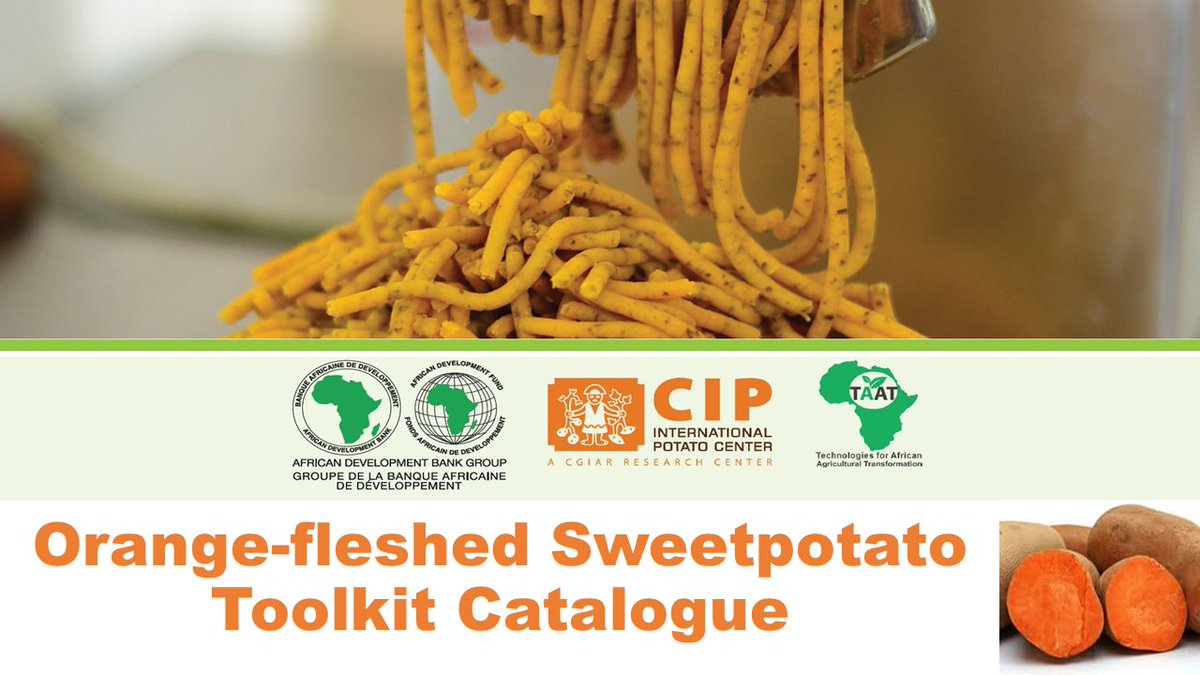 Taat_Africa's tweet image. Looking for info on the technology &amp;amp; commercialisation of #OFSP production? Click here to download our latest publication: tinyurl.com/vdudrcuf @AfDB_Group @Cipotato @IITA_CGIAR #sweetpotato #FeedAfrica #Technologies2FeedAfrica