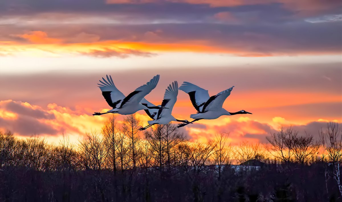 Photographer (@photo5065) on Twitter photo 