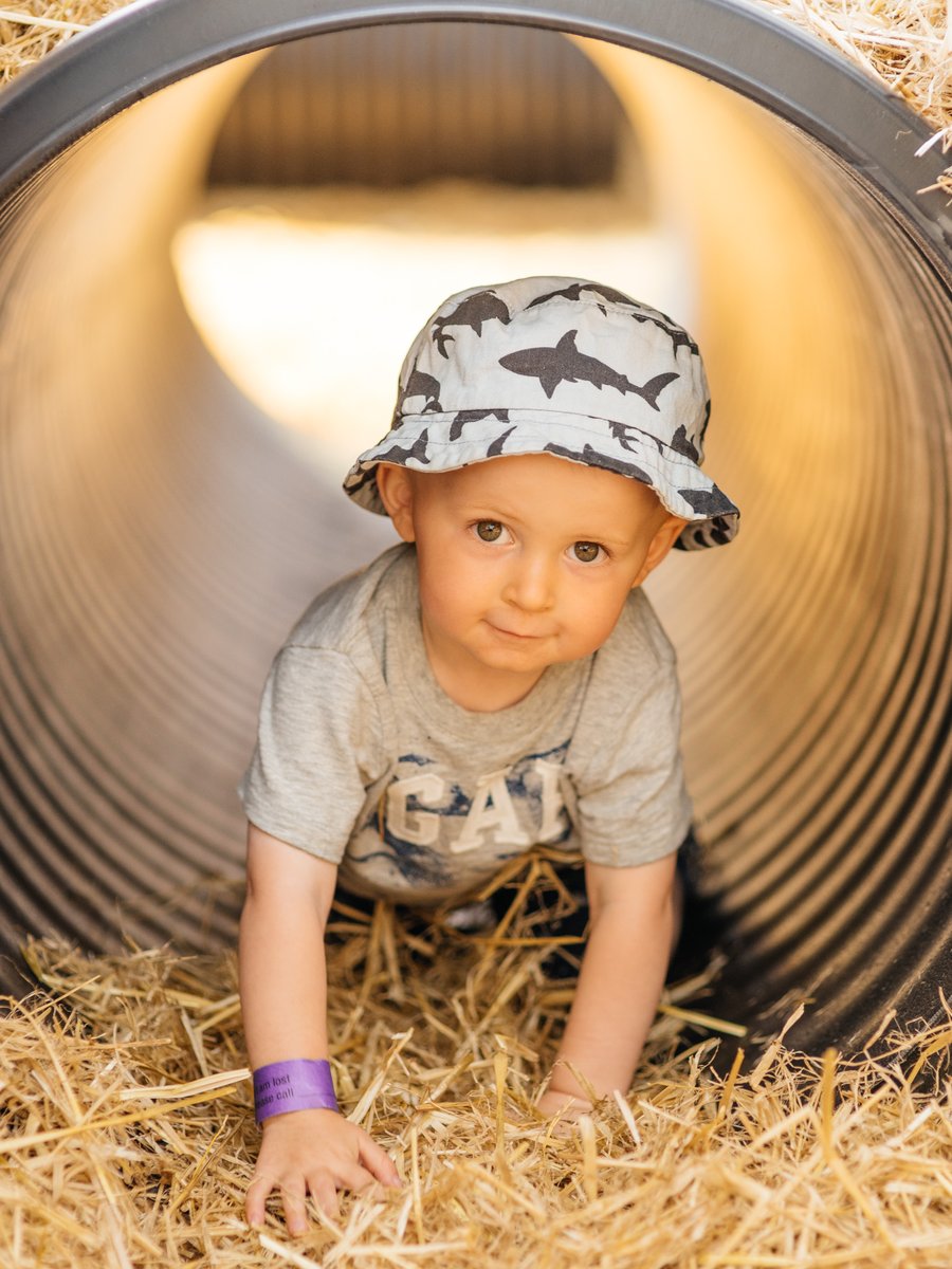 pinkpigfarm's tweet photo. Toddler term time is here 🌟 Happening every Friday, this Friday we have piggy wiggle, a great way to meet other Mum's and have a little wiggle with your toddler. Taking booking's here:
https://t.co/fcFWh7ZUG7 https://t.co/OT3GyuSdk4