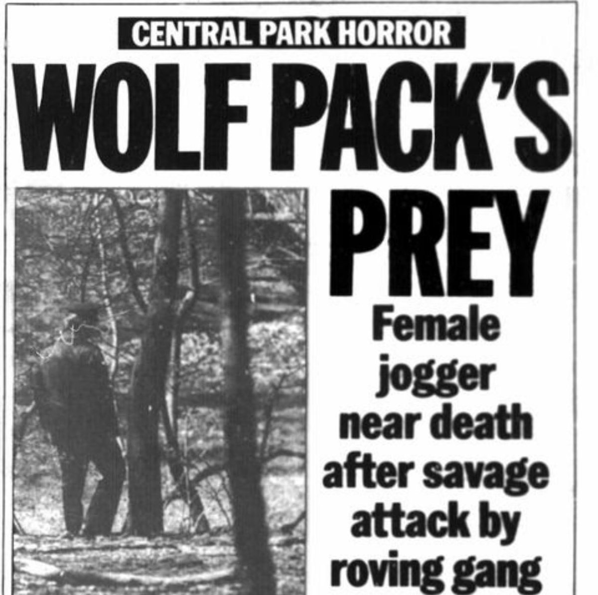 News headline reads "Wolfpack's Prey" Female jogger near death after savage attack by roving gang.
