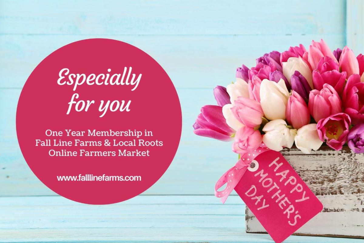 FallLineFarms's tweet photo. Lettuce, Scallions, Pastured Chicken, Strawberries (while they last) , and MORE! https://t.co/W0LT1ETX3k https://t.co/wLBUkjX0LI
