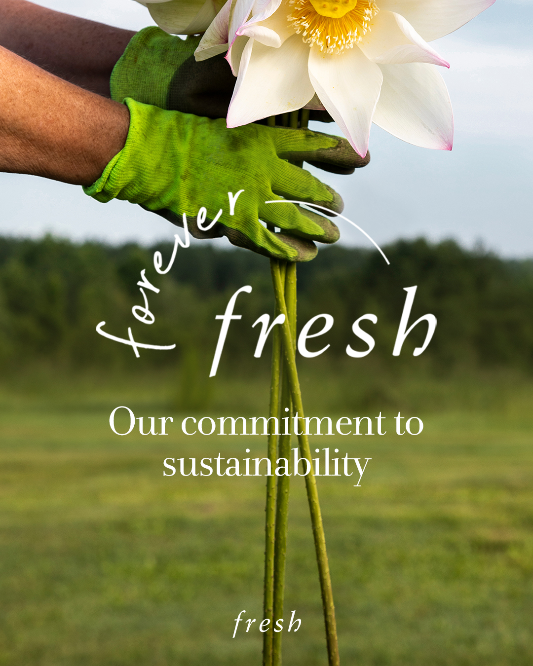 Fresh celebrates its 30th anniversary with commitments to building