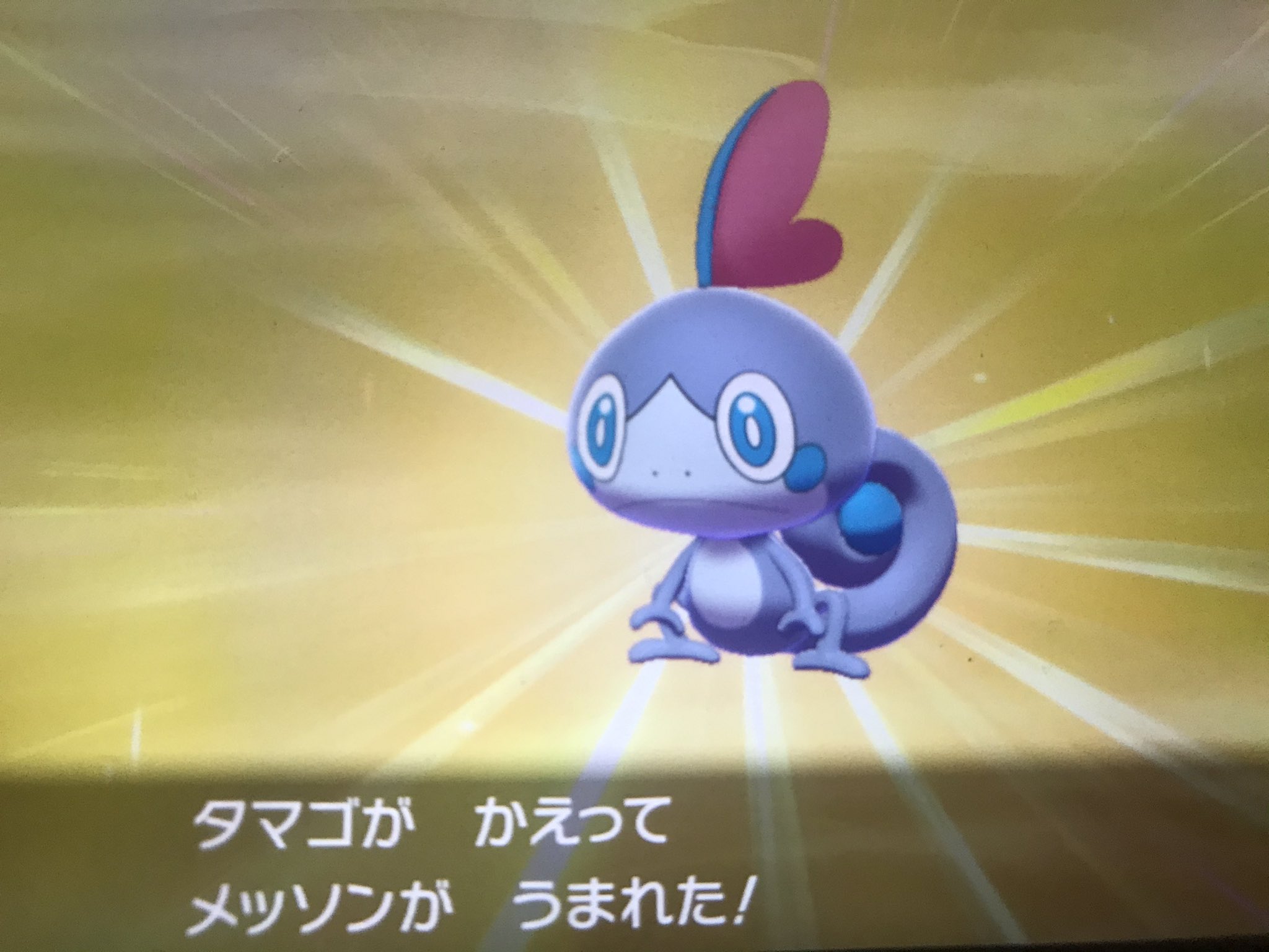 色メッソン Twitter Search Twitter