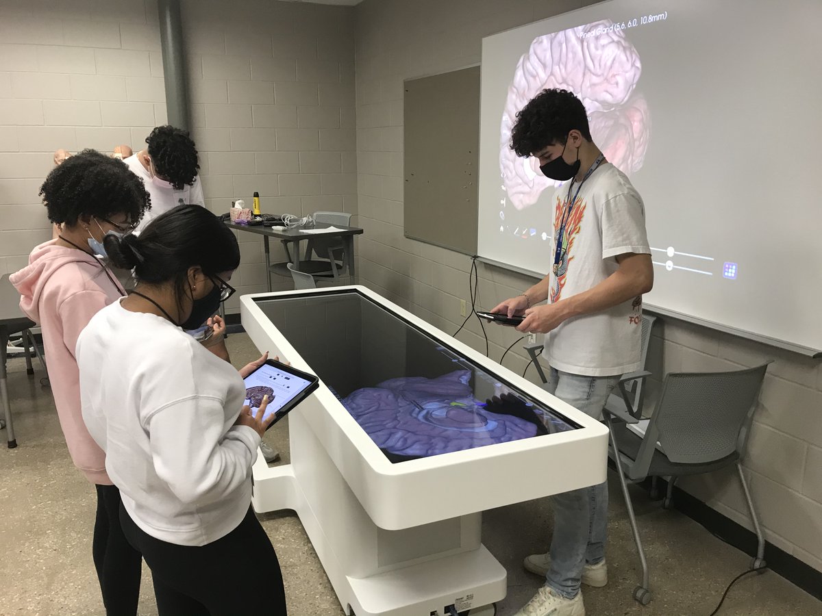 hicks_hst's tweet image. Health Science Clinical students at TECC|E taking a look at the Endocrine System... #anatomagetable
@LewisvilleHS @Marcus_HS @FlowerMoundHS @TheColonyHS @Hebron_HS @HawksCounselor 
@lisdcte @TECCeast @LewisvilleISD
