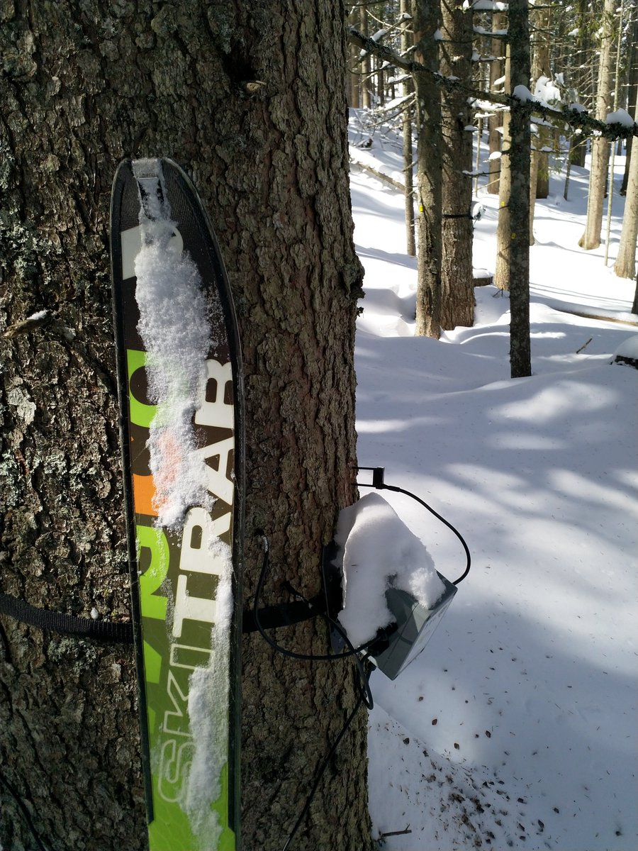 etomelleriunib1's tweet image. When fieldwork feels almost like a "lockdown-free" weekend 🙃 #ITTNet #Dolomites