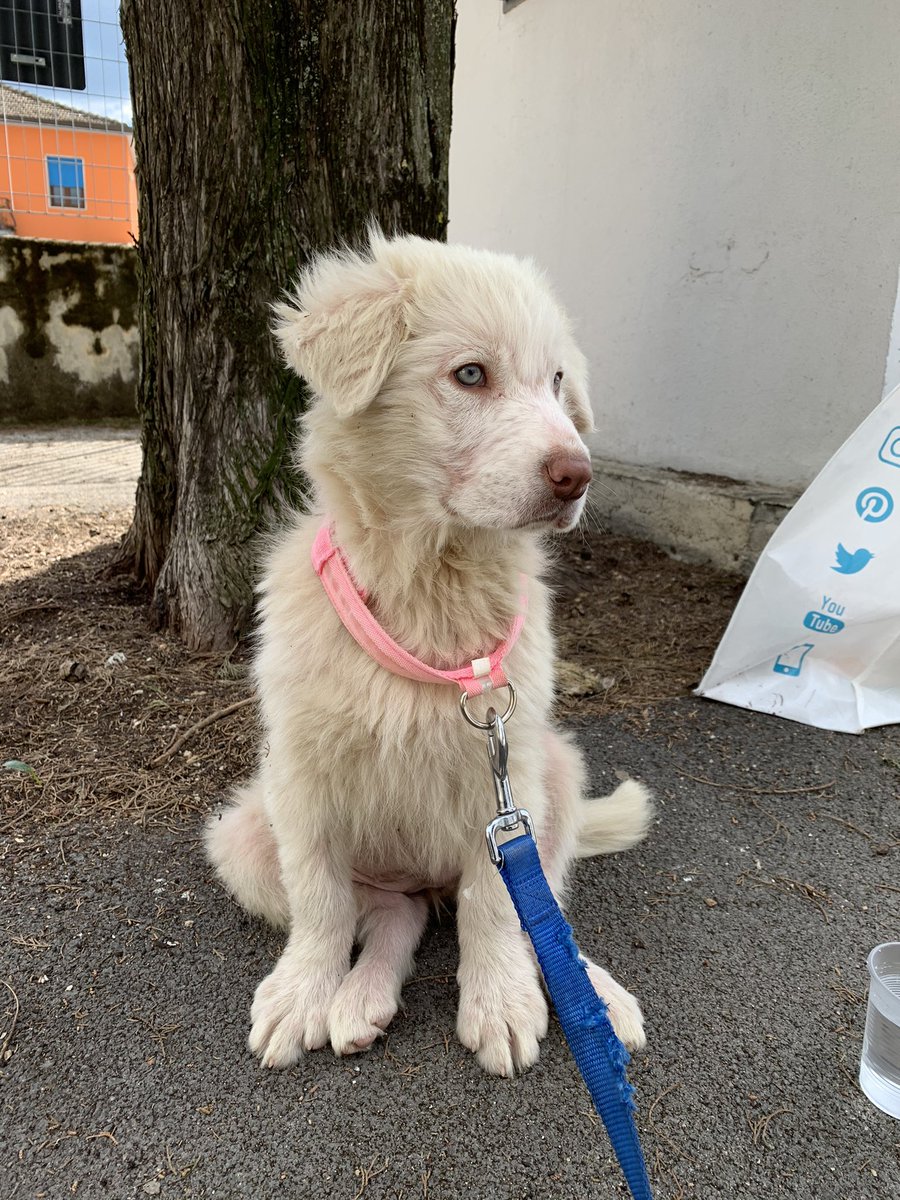 justinsdevans's tweet image. nuova arrivata