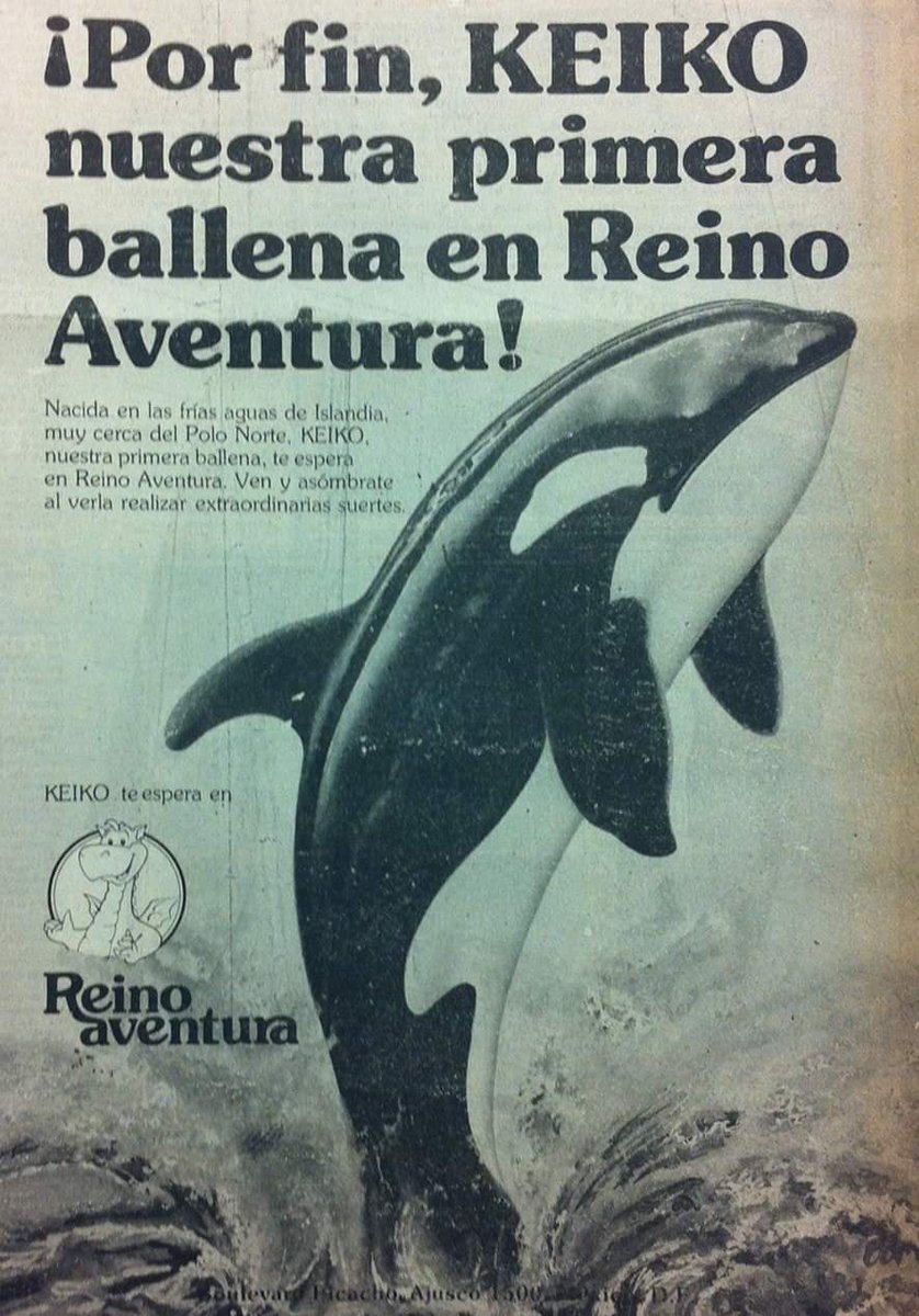 Reino Aventura (Six Flags) || Keiko
#Tlalpan #CDMX 
Así fue como un 06 de abril de 1985, Reino Aventura hizo la presentación de Keiko, ballena que en 1993 aparecería en la película de Liberen a Wiily.
KEIKO (aprox. 1976 - 2003)