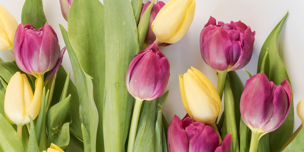 BritainsBest's tweet photo. A very special holiday is near at hand. Shop our collection to see what we’re gifting mum (and ourselves!) this Mother’s Day… ❣️
US: https://t.co/mqomceAa6g
CA: https://t.co/tiIGochGno https://t.co/vALVLbPvWs