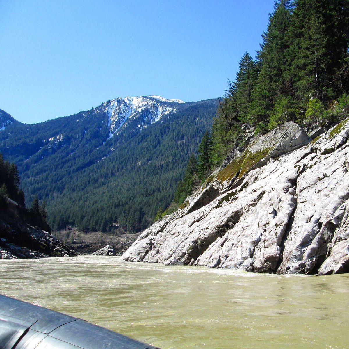 Lizzie Dingle tweet media