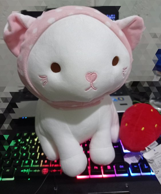 My new baby ?

Called Fremsa ? https://t.co/9lpgLo6uif