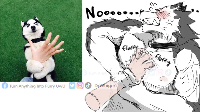 Nooooooooooooooooooooooo
https://t.co/cq7TkyiCUU 