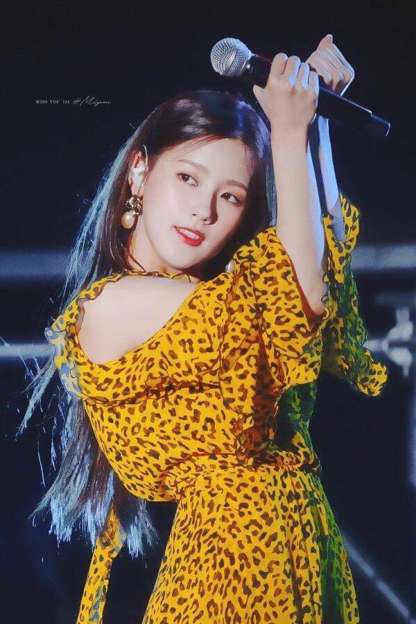1612Dahlia's tweet photo. Push thôi nào , ko ghi pt nữa đâu , tôi lười đếm quá rồi :')) #GIDLEFOREVER #GIDLEIS6 #6IDLEFOREVER #GIDLE #MIYEON #여자아이들 @G_I_DLE https://t.co/o0x75TaAqR