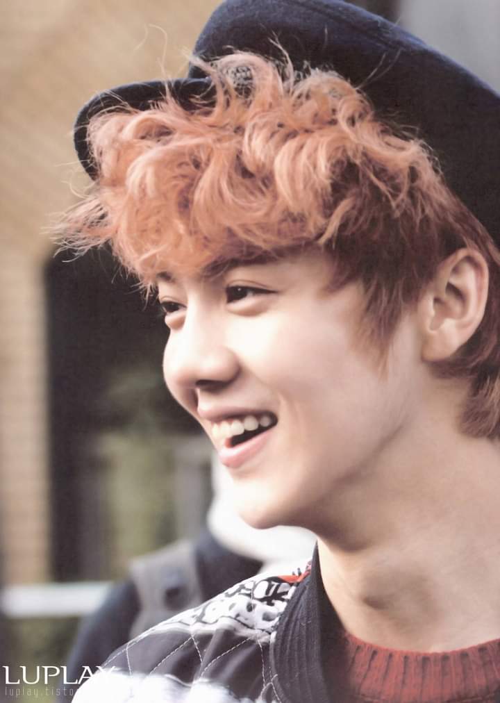 HAPPY BIRTHDAY LU HAN!!    