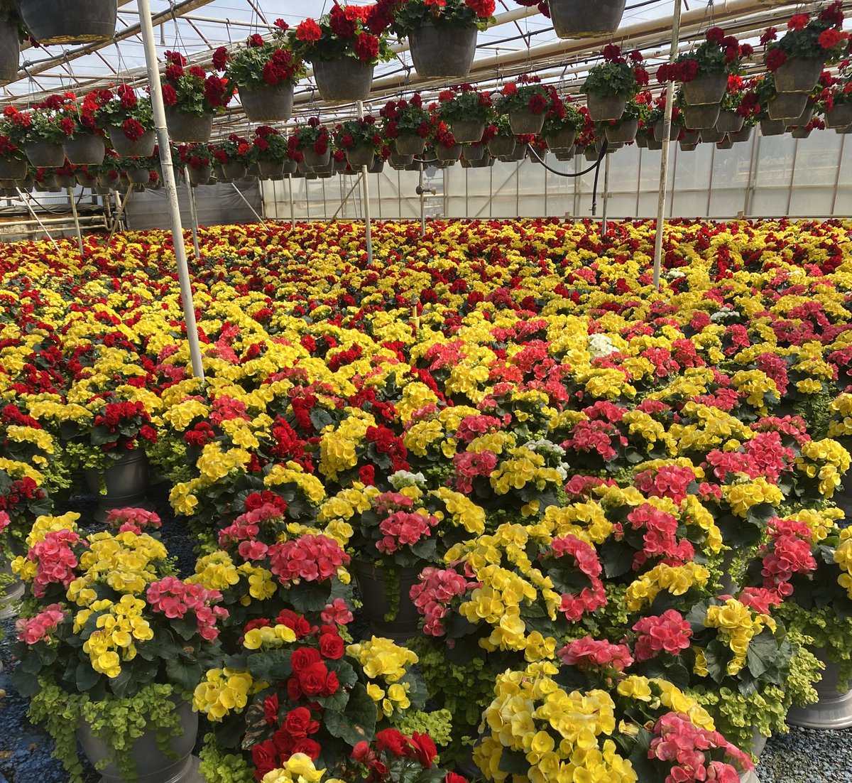 Check out these AMAZING  items coming to a store near you soon 🌸 <a href="/HomeDepot/">The Home Depot</a>