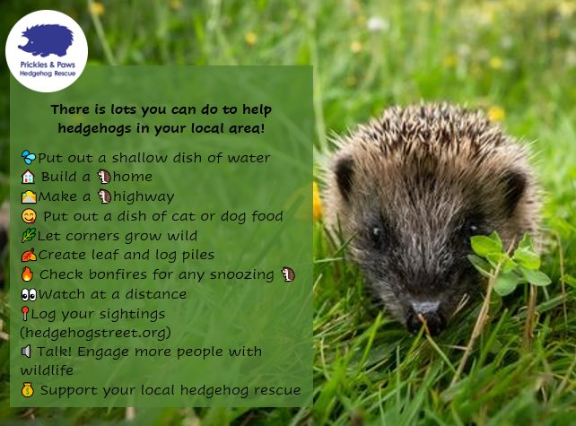 Prickles_Paws's tweet photo. Last year hedgehogs were reclassified as vulnerable to extinction, EVERY HEDGEHOG MATTERS and we need to do all we can to help them, from driving carefully at night to checking the area before strimming. Below are more tips for helping hedgehogs in your local area 🦔 https://t.co/4QWlo4zX3M