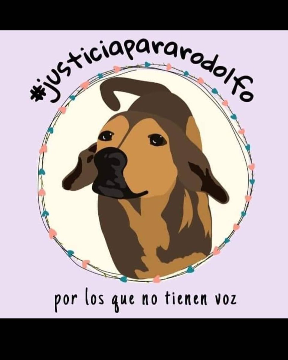 uppac2's tweet photo. #justiciapararodolfo
#simaltratasanimalestemetescontodos
#apoyoyfuerzadesdechile
#bastaalmaltratoanimal https://t.co/ckL9DCqMRm