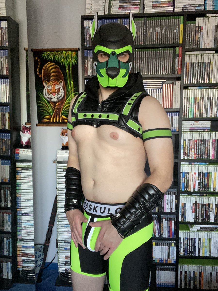 🐾 Pup Xylon 🐾 🔞 tweet media