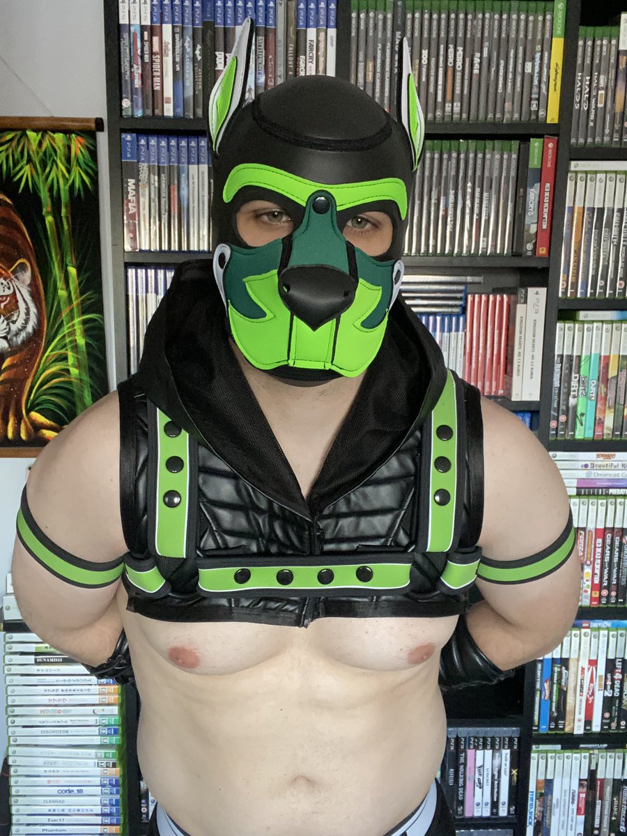 🐾 Pup Xylon 🐾 🔞 tweet media