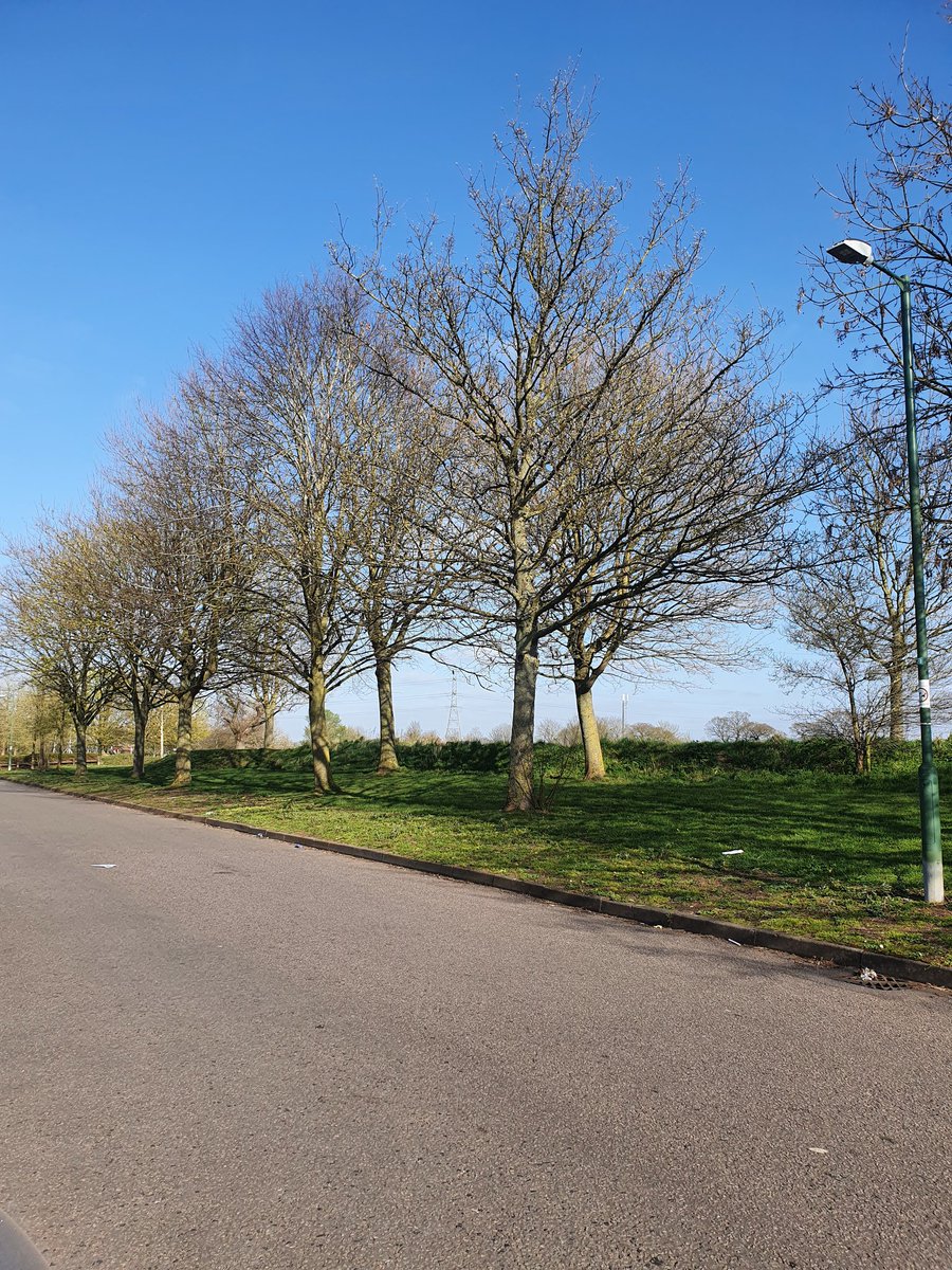 Solihull Community Network (@solihullcommun1) on Twitter photo Why not go on a post work walk on a lovely sunny evening? π
<a href="/windy_arbor/">Windy Arbor Primary</a> <a href="/SolihullNorth/">North Solihull Sport</a> <a href="/promotenorthsol/">Promote North Solihull</a> <a href="/ColeshillHeath/">Coleshill Heath School</a> <a href="/livingwellbrum/">Living Well</a> <a href="/SolihullLive/">Solihull Live</a> <a href="/birmingham_bp/">Birmingham Business Park</a> <a href="/Solihullhousing/">Solihull Com Housing</a> <a href="/SaxonCourtSCH/">Saxon Court</a>
#wellbeingwalk #wellbeingtrail #commonhealth2021 #sunshine #trees #mentalhealth Why not go on a post work walk on a lovely sunny evening? π
<a href="/windy_arbor/">Windy Arbor Primary</a> <a href="/SolihullNorth/">North Solihull Sport</a> <a href="/promotenorthsol/">Promote North Solihull</a> <a href="/ColeshillHeath/">Coleshill Heath School</a> <a href="/livingwellbrum/">Living Well</a> <a href="/SolihullLive/">Solihull Live</a> <a href="/birmingham_bp/">Birmingham Business Park</a> <a href="/Solihullhousing/">Solihull Com Housing</a> <a href="/SaxonCourtSCH/">Saxon Court</a>
#wellbeingwalk #wellbeingtrail #commonhealth2021 #sunshine #trees #mentalhealth