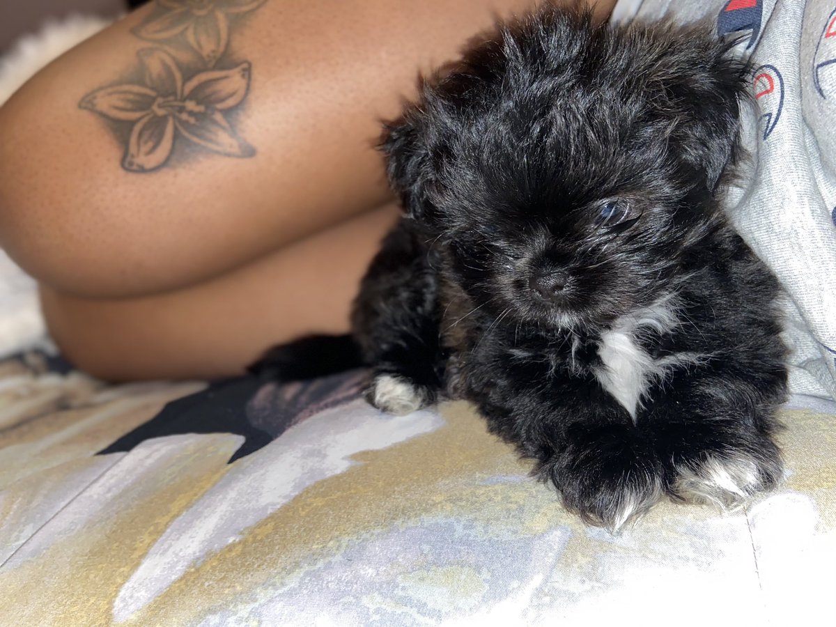 WalkerNadia's tweet photo. my baby ❤️😩 https://t.co/ZhrBWsV3mr