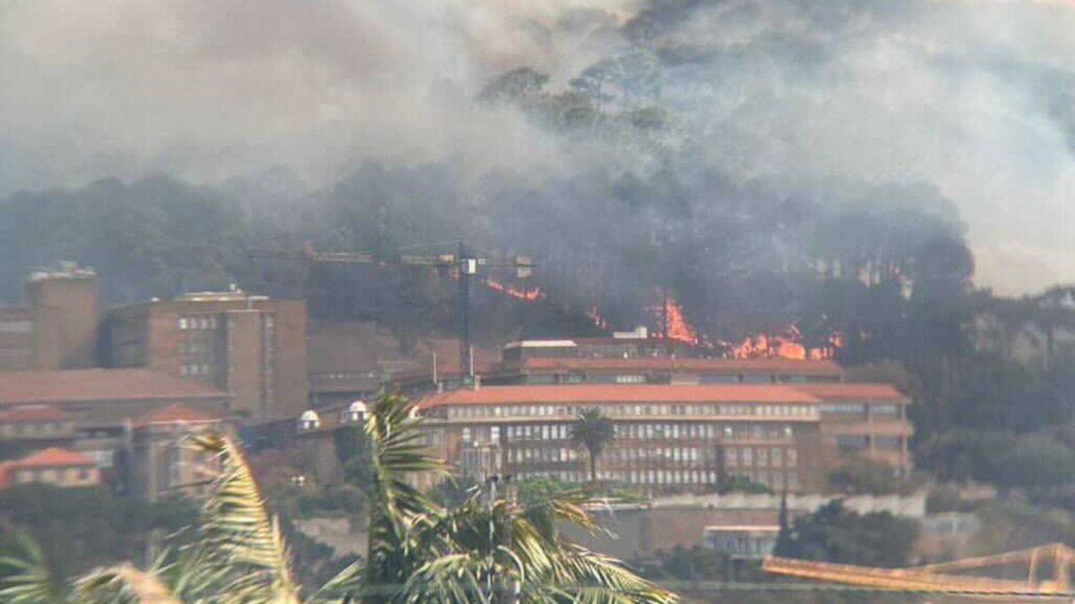 Our hearts go out to the @UCT students affected by the fires in the <a href="/CityofCT/">City of Cape Town</a>. 

To offer #foodrelief to those who have been #displaced from their residences, <a href="/FoodForwardSA/">FoodForward SA</a> is collaborating with <a href="/GiftoftheGivers/">Gift of the Givers</a>. #capetownfires #capetownfire #foodforwardsa📸<a href="/camschmidtt/">Cam Schmidt</a>