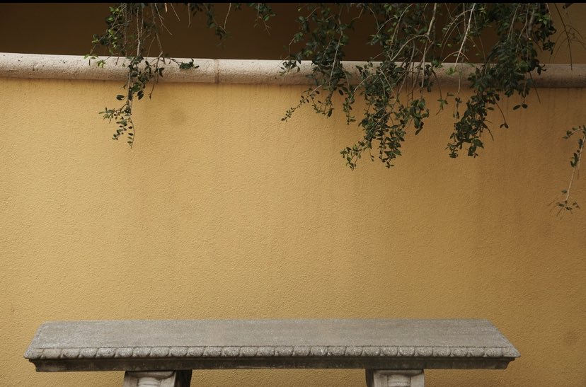 S0METHINGTOGIVE's tweet image. 🌿🌱
happy #frantasticmonday