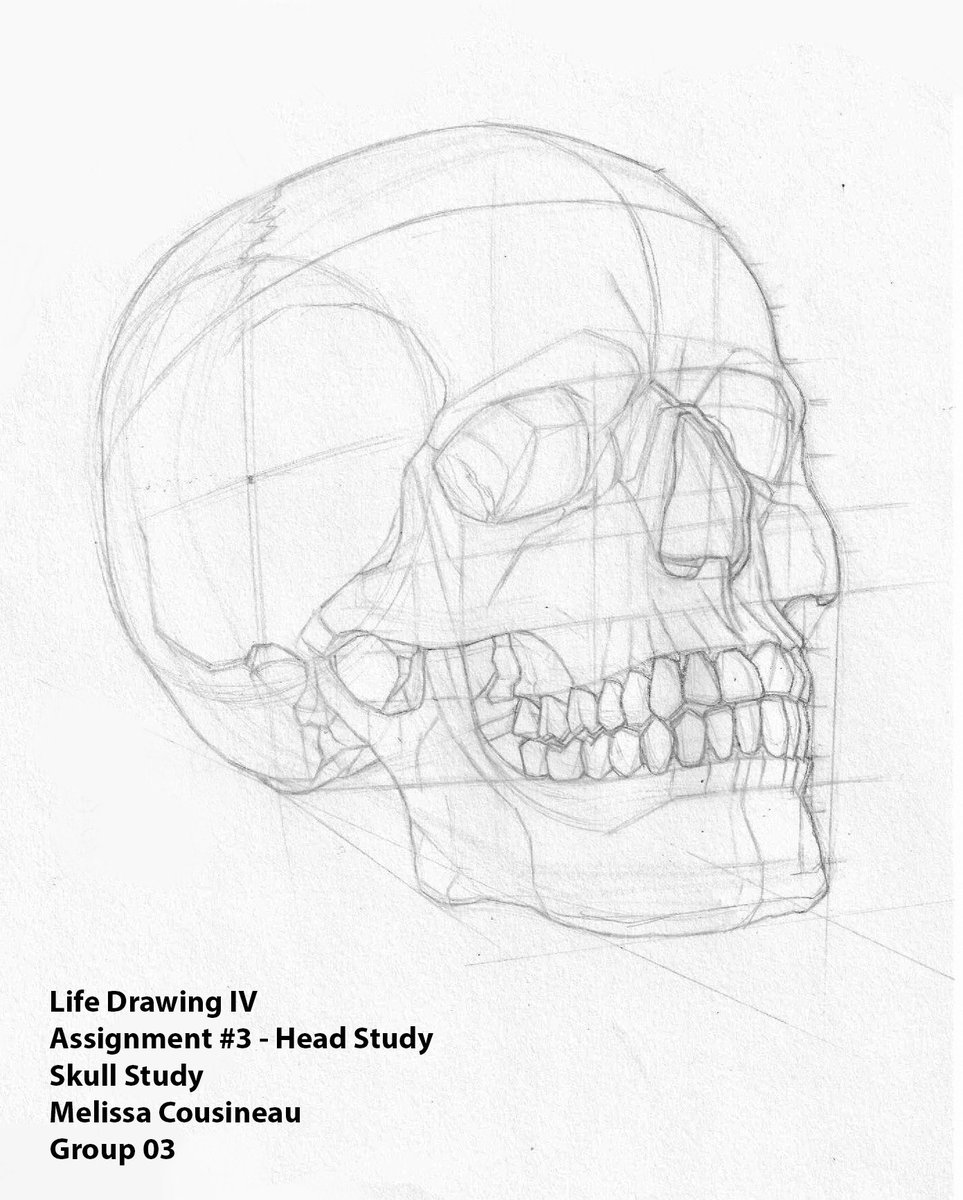 HEAD-ed to summer break!! 
Life Drawing studies : D 