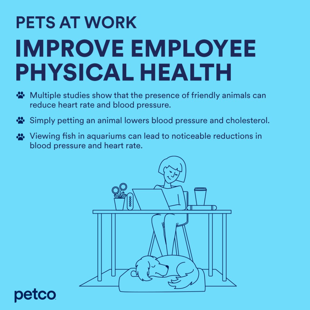 Are Petco Dogs Friendly