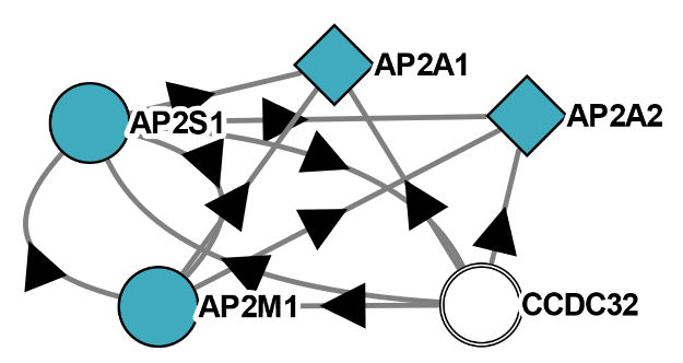 HMSBioPlex's tweet photo. The relevant #BioPlex interactions are shown here. 
Blue nodes are AP2 complex members, while C15orf57/CCDC32 is white. See the full network here as well: https://t.co/yynldSDxck
3/4 https://t.co/pAECYRR6nj