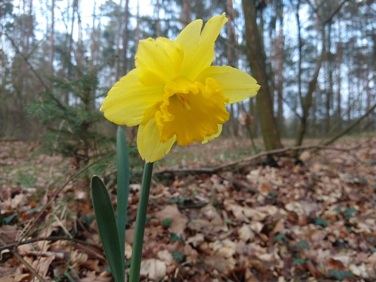 ASaczek's tweet image. 7️⃣8️⃣ ROCZNICA POWSTANIA W GETCIE WARSZAWSKIM