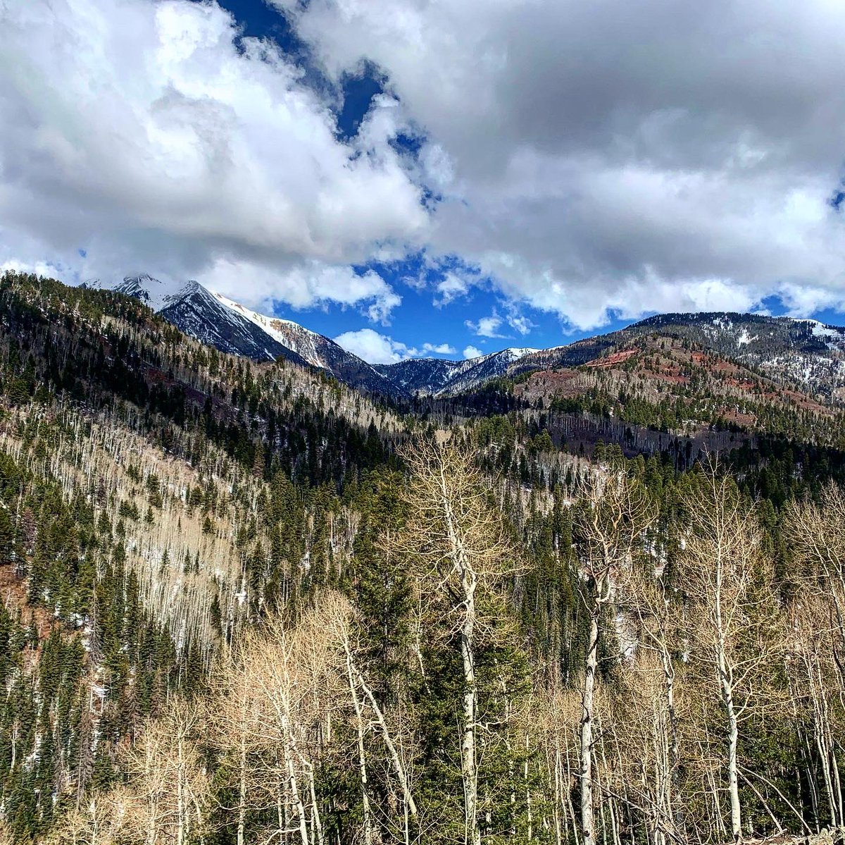 Colorado Trail long run <a href="/SundogRunning/">Sundog Running</a>