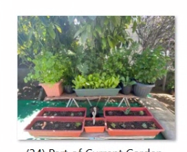 BeckyArrasPerez's tweet photo. Inspired to hear about our scholars' #homegarden miracles.
They share how they've experimented, bonded with family, become healthier, and grown in so many ways along with their plants. #distancelearning #WeArePUSD #GardenDesign #learningthroughinterests https://t.co/Qhxp7Ecwze