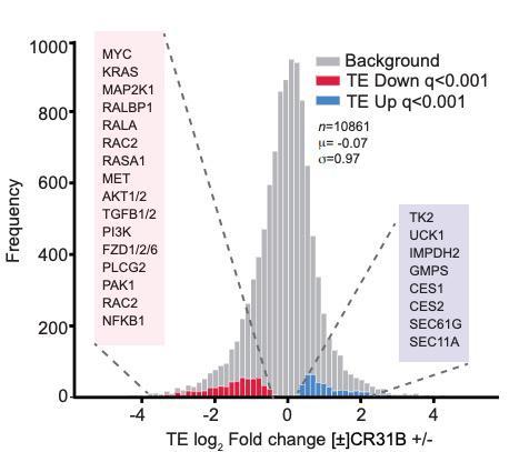 CR_AACR's tweet image. Blocking eIF4A RNA helicase has single agent activity against murine and human pancreatic adenocarcinoma models at safe dose levels, Singh et al demonstrate. 
@ChasingCures @SanghviLab #PDAC 
bit.ly/32slsnV
