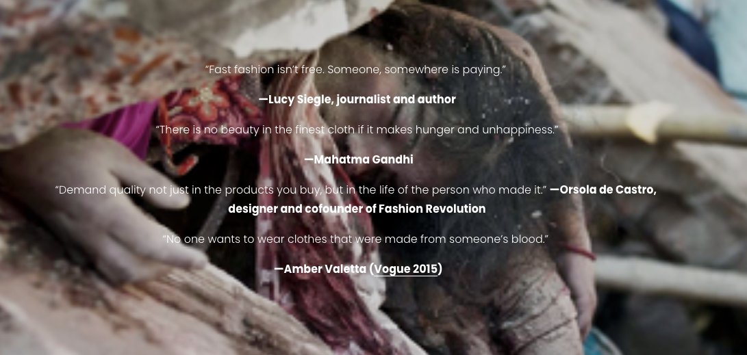 The Faces Behind Fashion tweet media