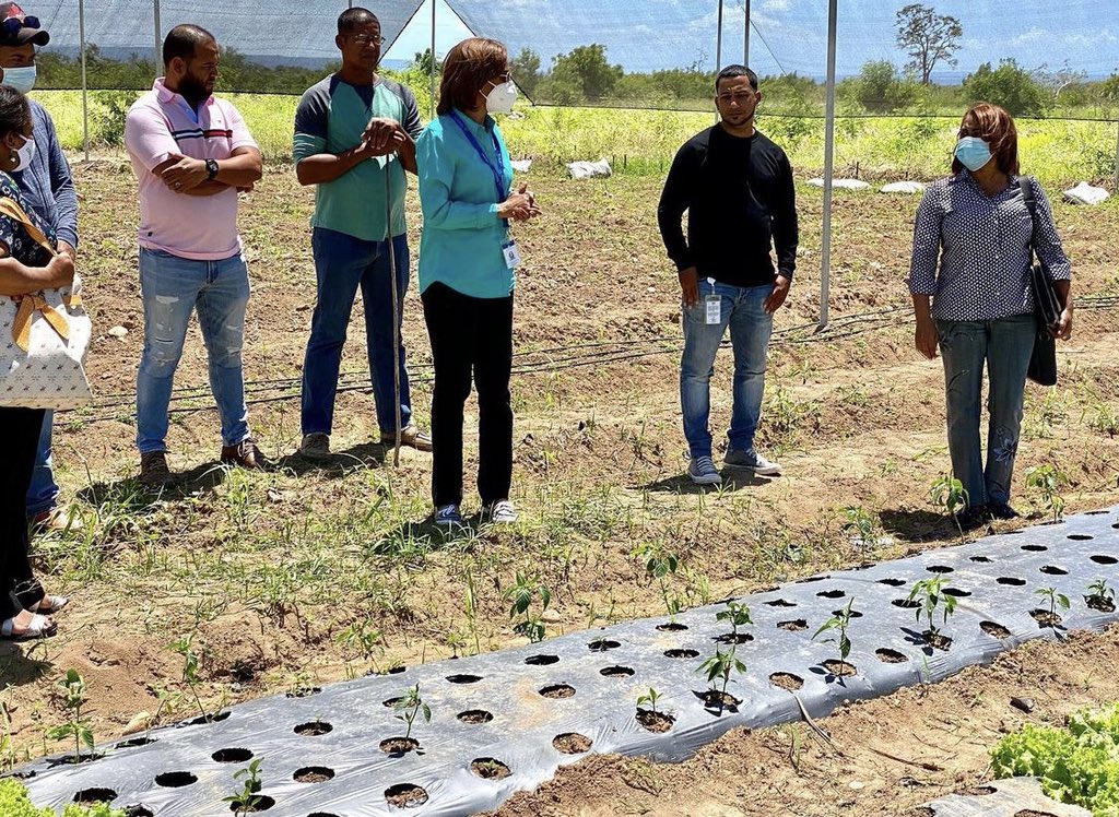 OlgaSamboy's tweet photo. Durante la semana estuvimos visitando la #CasaSombra de @prosolird a través del programa de #AgriculturaFamiliar en la provincia de Pedernales, quienes ya iniciaron a comercializar sus cultivos. 

#RegionalEnriquillo
#EstamosCambiando https://t.co/ZoXdjOK160