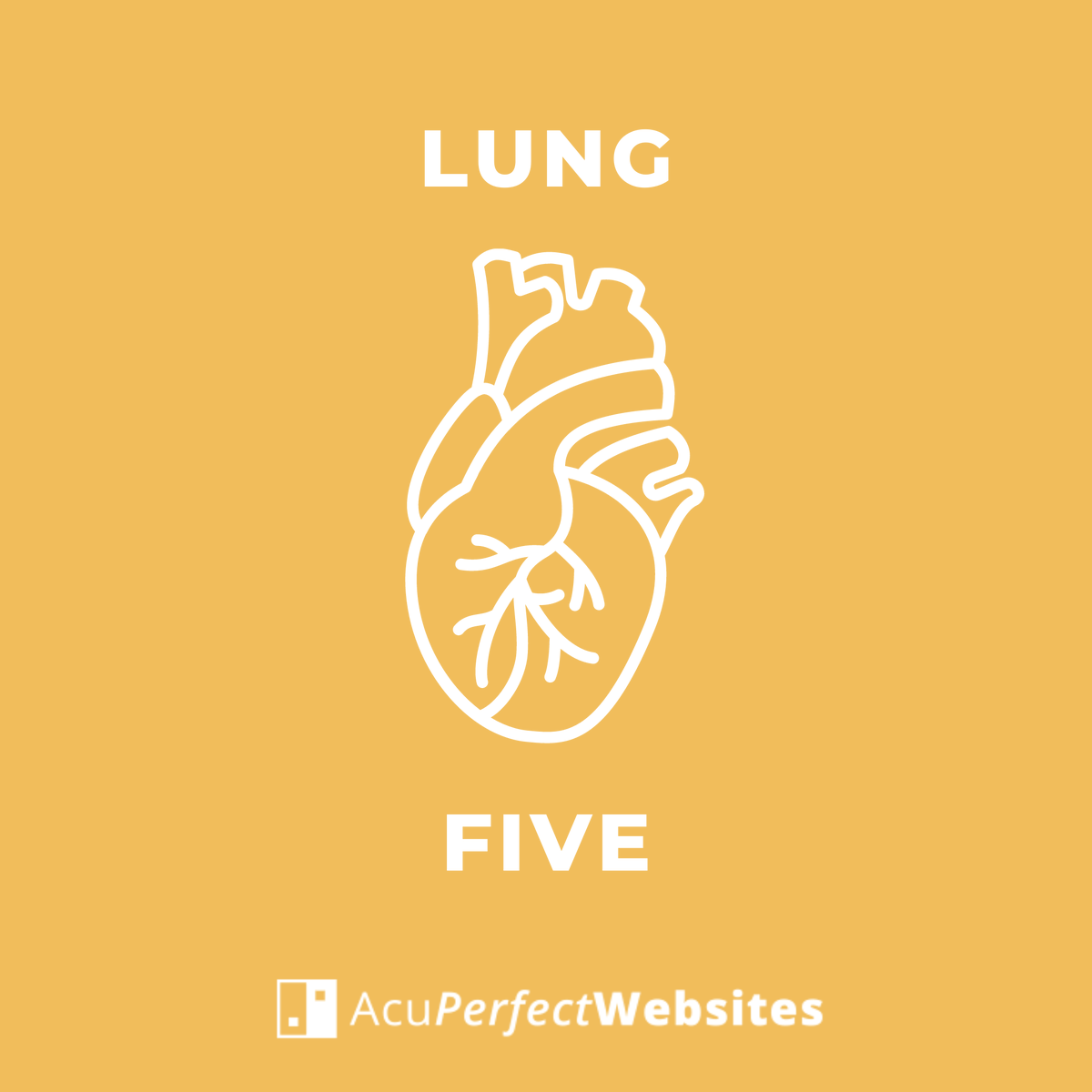 AcuWebsites's tweet photo. Do you have a favorite point?
This is one of ours!
 🟠  Lung 5 🟠  
“Chize” (English translation: Cubit Marsh) 

Can you name some indications for the acupuncture point Lung 5?
How about some traditional (or therapeutic) actions?
#AcuPerfectWebsites https://t.co/06ejUTKBNz